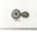 Click for 1 image(s) for this accession. FRUIT